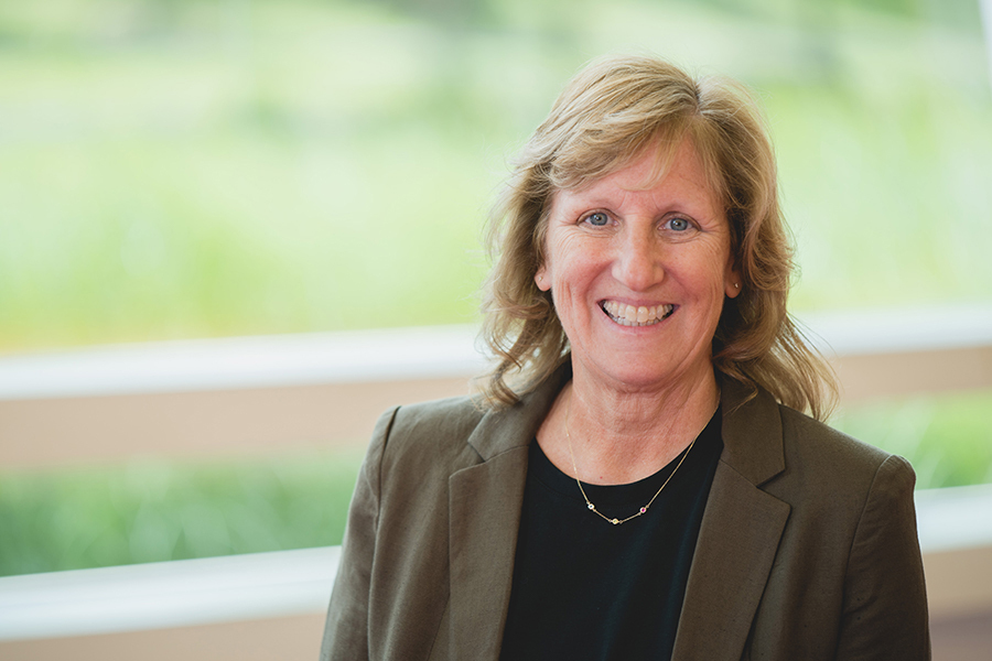 Nancy Snyder Environmental Web